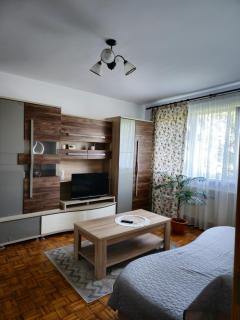 Studio Bulevardul Victoriei - Braşov - 0
