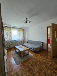 Studio Bulevardul Victoriei - Braşov - 5