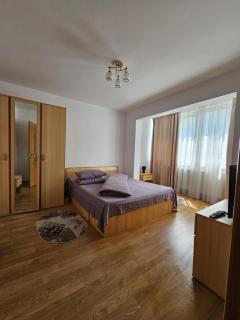 Studio Bulevardul Victoriei - Braşov - 4