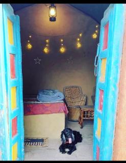 Backpackers Village Agra - Agra - 5