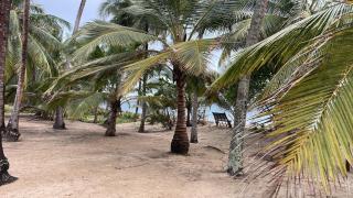 Ocean Dream Villa - Ushongo Mabaoni - 6