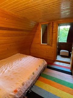 Nest in the Nature - 4