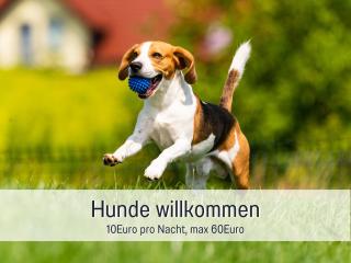 RamosHansenHof Fewo Hofglück 4Pers mit Hund - Steinberg - 6