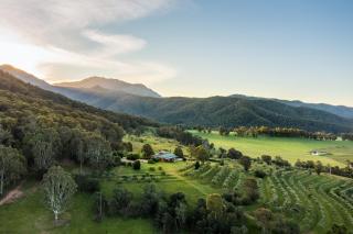 Little Olive Cabin - Porepunkah - 6