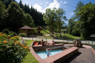 Ferienwohnungen Golla-lang - Oberharmersbach - 1