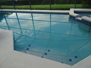 Sunny lake view villa with heated pool and spa - Davenport - 8