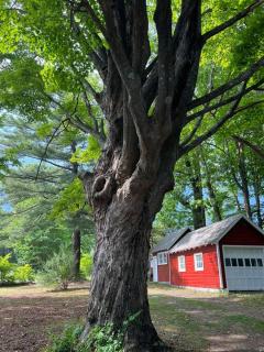 Schoolhouse No. 11 * Hudson Valley Upstate Getaway - Stone Ridge - 7