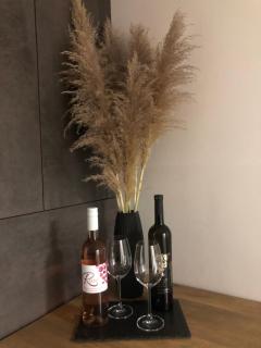 Studio apartman Avenija *** - Slavonski Brod - 1