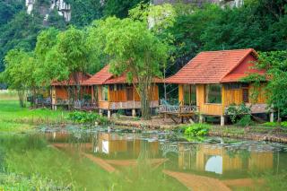 Lotus Field Homestay - Ninh Binh - 9