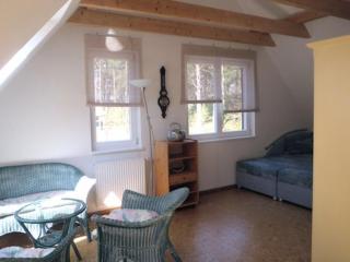 Ferienhaus Wassermann - Trassenheide - 1