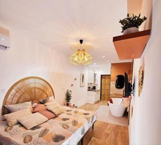 Suite parentale avec parking - Albi - 9