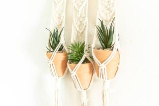 Immeuble L'Aristocrate - Le Boho- Bd Carnot - Angers - 6
