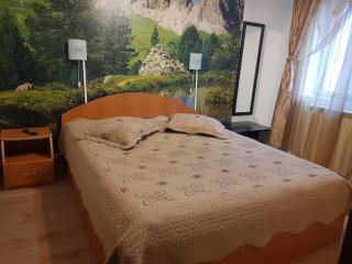 Apartament Silva Busteni - Buşteni - 9