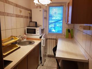 Apartament Silva Busteni - Buşteni - 6