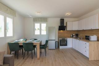 New beautiful villa with private pool in Istria - Štokovci - 3