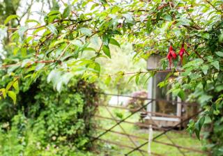 Y Caban - Cosy Cabin in Pembrokeshire - Saint Dogmaels - 9