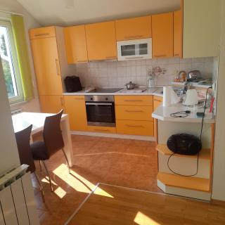 SARON House - Tuzla - 1