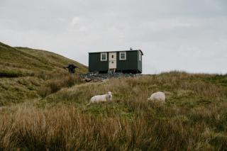 Barlwyd Glamping - Blaenau-Ffestiniog - 4