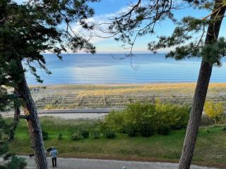 Apartment Blaumuschel - LUB101 by Interhome - 5