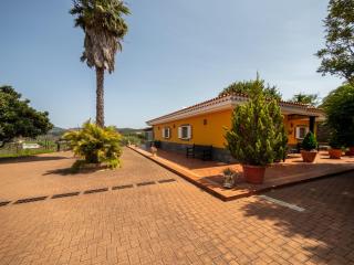 Ecofinca Selva Doramas - Santa Maria de Guia - 3