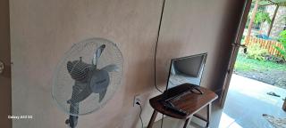 Bijagua paradise Río Celeste - 1