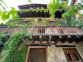 La Casa del Bosque - Cabra de Mora - 5