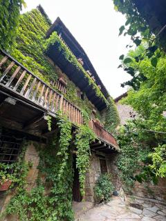 La Casa del Bosque - Cabra de Mora - 0