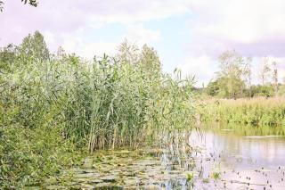 Rural retreat by the river - Norwich - 3