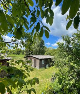 Haus am Grimnitzsee mit Sauna - Joachimsthal - 0