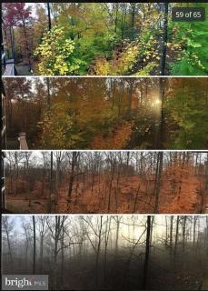 Luxury Retreat with Family Feel: Perfect Getaway! - Leesburg - 4