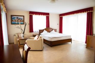 Luxury Hotel Siófok - Siófok - 9
