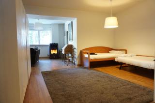 Loft Puerto de Navacerrada - Cercedilla - 4