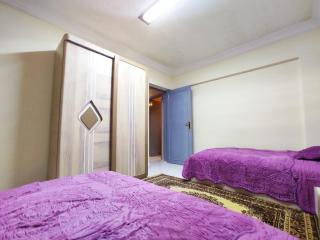 شقه مفروشه في 233 دجله - Cairo - 2