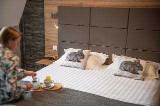 Logis Hôtel-restaurant Les Coudercous - Saint-Chély-dʼAubrac - 6