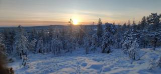 Villa Arctic Circle - 8