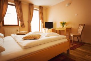 Hotel Karpatsky Dvor Lozorno - Lozorno - 3