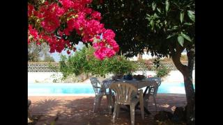 Lugar das Andorinhas - Albufeira - 6