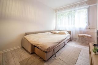 Le studio tropical - Chalon-sur-Saône - 7