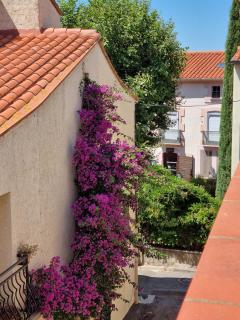 Maison de village Casa del Puig - Laroque-des-Albères - 5