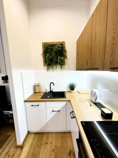 Apartamenty Dream Place z klimatyzacją - Toruń - 5