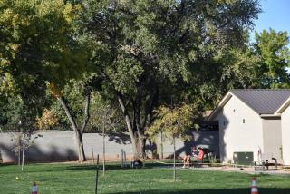 Bunkhouse 7A With Shady Trees - La Verkin - 3