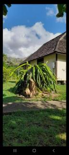 TAHAUKU VALLEY 1 - Atuona - 2