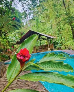 Princesa de la Luna Ecolodge - Fortuna - 8