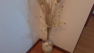 Ana Paula House - Aveiro - 4
