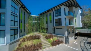 BEE Suites Santa Ana - Santa Ana - 8