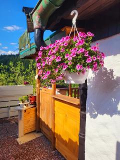 Ferienwohnung Schwarzwaldglück - Baiersbronn - 1