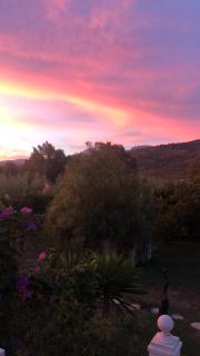 Finca el Rio, The Studio self catering with pool and hydrotherapy jacuzzi set in beautiful gardens, - Guaro - 6