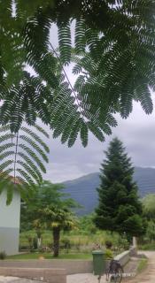 Zisis Garden Studios - Ioannina - 2