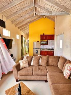 Cozy Modern Upstairs 2 Bed A/C Apt Near 2 Everything - Saint Philip - 8