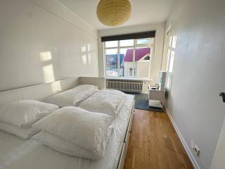 Cosy apartment in downtown Reykjavik - Reikiavik - 3